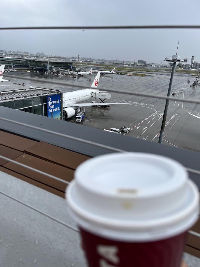 JAL aircraft as seen from observation deck at Tokyo Haneda Airport